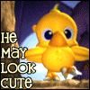 animals avatars